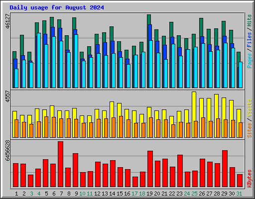 Daily usage for August 2024