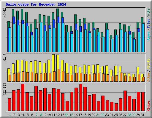 Daily usage for December 2024