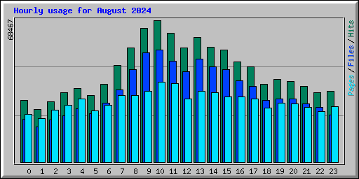 Hourly usage for August 2024