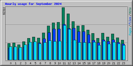 Hourly usage for September 2024