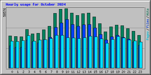 Hourly usage for October 2024