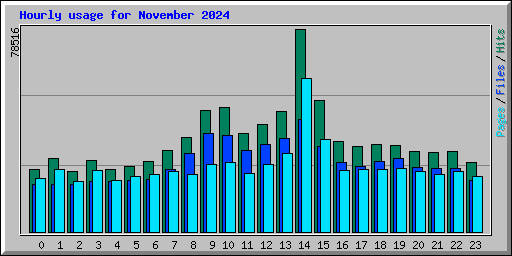 Hourly usage for November 2024