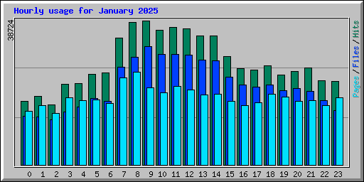 Hourly usage for January 2025