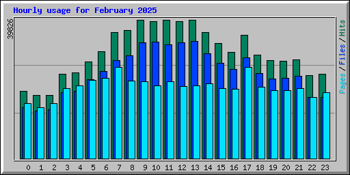 Hourly usage for February 2025